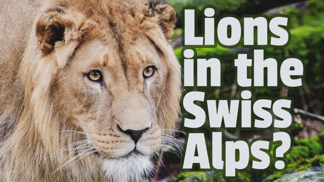 YouTube-Video kreieren