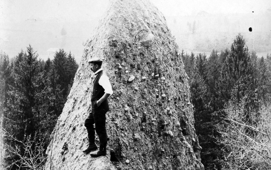 Franz Wuillemin (1879–1956)